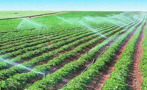 操屄的电影网站农田高 效节水灌溉